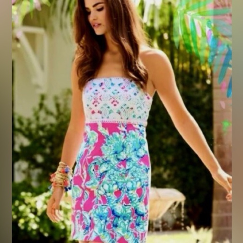 ADORABLE Lilly Pulitzer Brynn dress